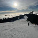 Sky * Dolní Morava